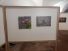 Ausstellung