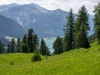 Bergwiesen übern Reschensee